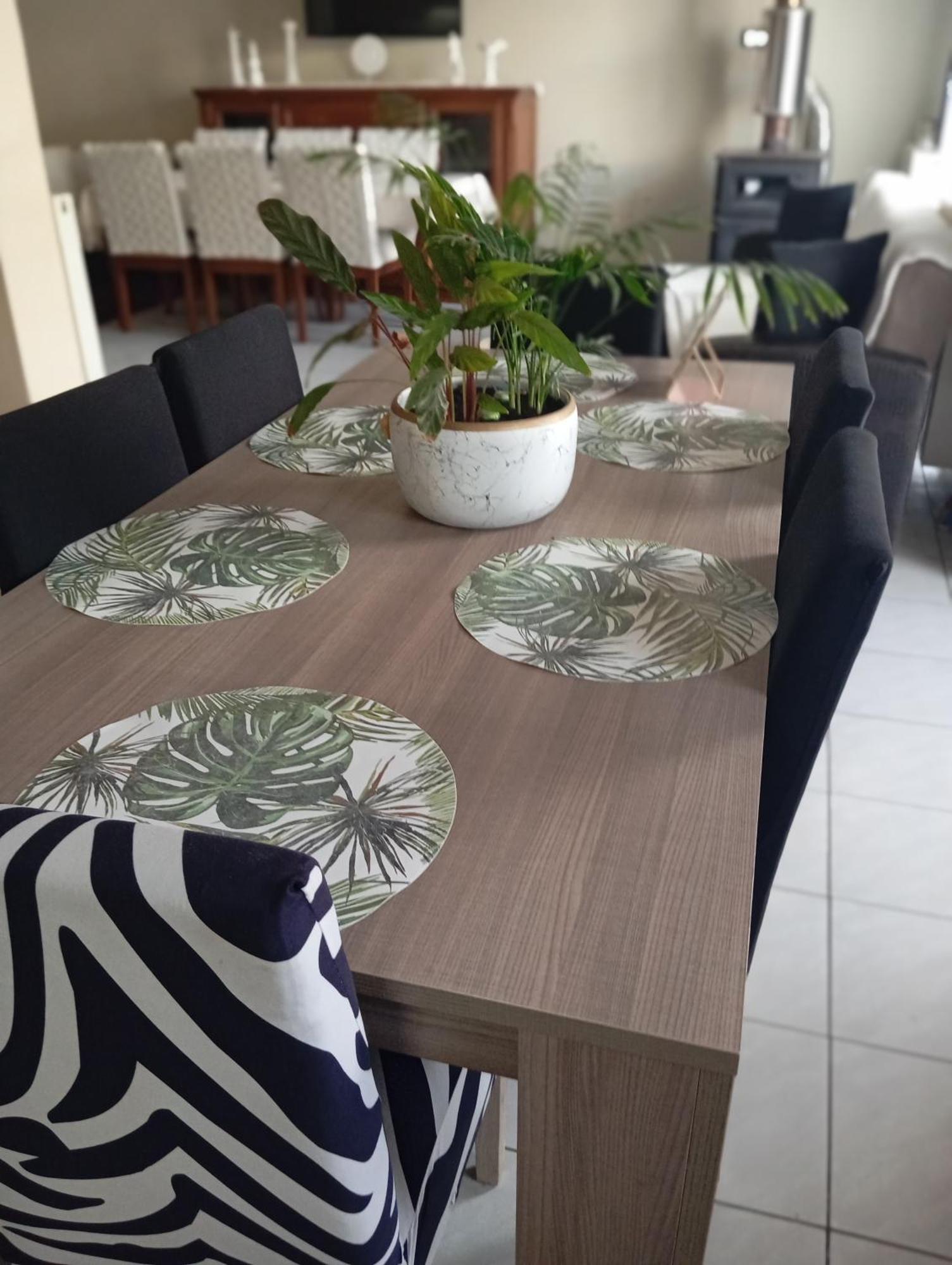 4y In Apartment